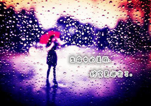 高分完本偏宠：总裁的怪力少女文章精选最新章节列表_高分完本偏宠：总裁的怪力少女文章精选全文免费阅读(虞念魏刚)