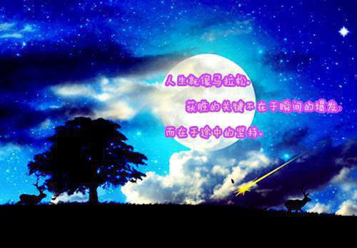 梁识沈听晚最新章节免费 梁识沈听晚第8章在线阅读