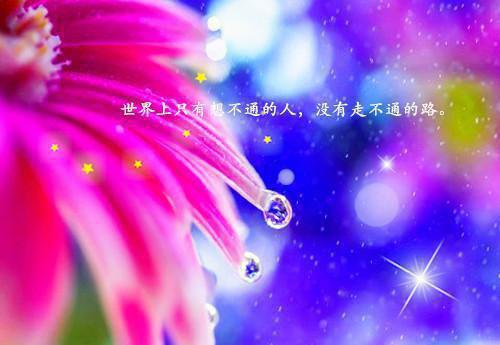 顾眠风齐恒免费全文无弹窗 我肯定是疯了，竟然掰弯了直男室友小说在线阅读