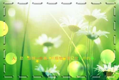 秦银秋宋知凡免费阅读第1章 秦银秋宋知凡大结局