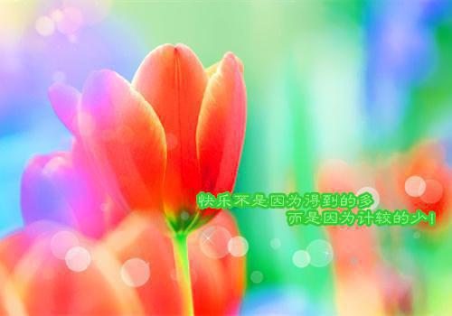 想念你的小熊猫免费阅读小说 《攻略纯良白月光》最新章节列表