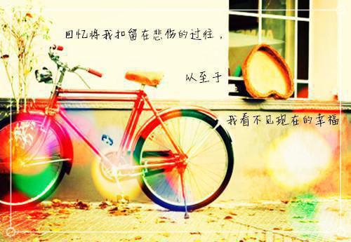 赵恒杜蓉小说全免读 赵恒杜蓉在线阅读