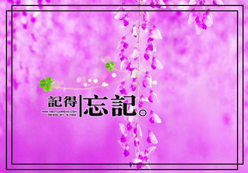罗天阙楚倾颜完整版 罗天阙楚倾颜小说全文在线阅读