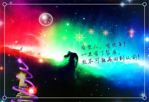 (最新)沈容谢家豪张赫小说完整版免费阅读