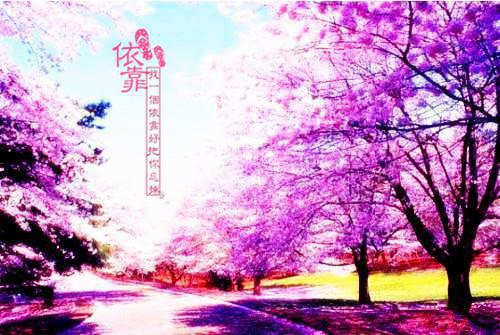 余九琪（冬风吹又生）小说全文-冬风吹又生小说免费阅读大结局