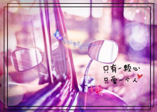 苏惜月夏添季斯琰小说最新章节 苏惜月夏添季斯琰免费阅读