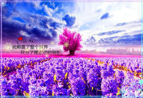 刘帅刘金小说 刘帅刘金免费全文阅读