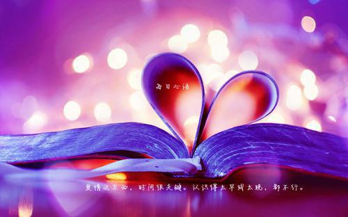 陆缜林莞主角小说叫什么 女提刑免费阅读全文