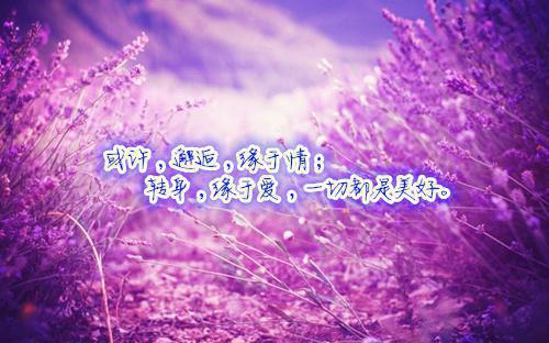 裴清清赵沂宋虞结局是什么 裴清清赵沂宋虞免费阅读全文