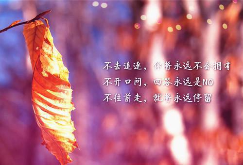 主角名是季雨禾顾俊全文免费阅读正版