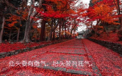 孙朝小七小说全免读 孙朝小七在线阅读