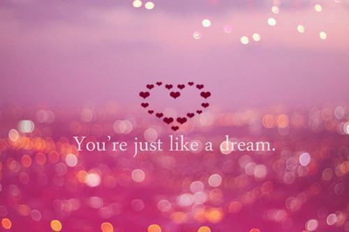 沈绯月玄寂免费阅读第5章 沈绯月玄寂大结局