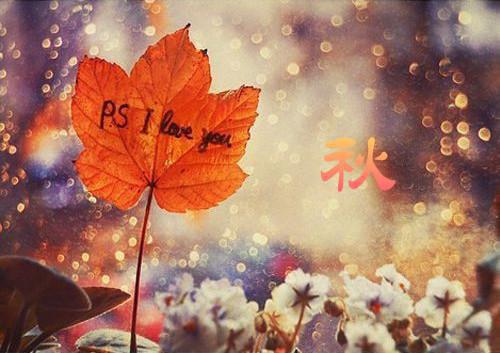 叶乔裴川最后结局 叶乔裴川完结版免费阅读