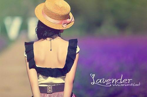 张猎户全文免费大结局 张猎户小说在线阅读