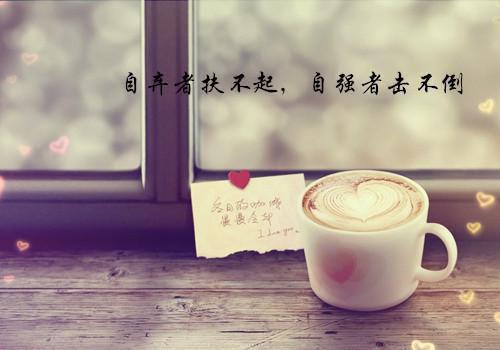 苏念傅以辰陈素娟傅以辰小说全免读 苏念傅以辰陈素娟傅以辰第六章在线阅读