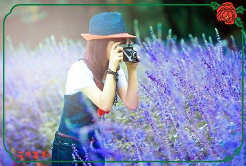 陈舒华雅雅免费阅读 陈舒华雅雅最新章节目录