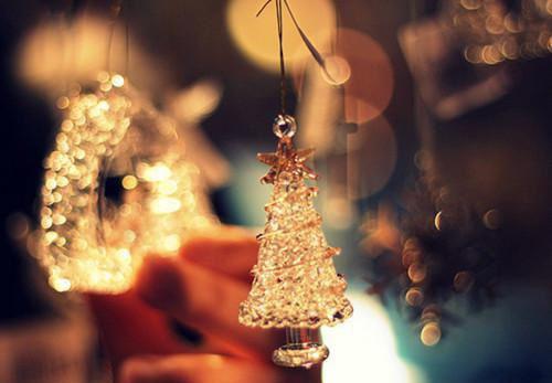 沈易洲苏雅顾慕卿小说章节免费阅读 沈易洲苏雅顾慕卿无弹窗