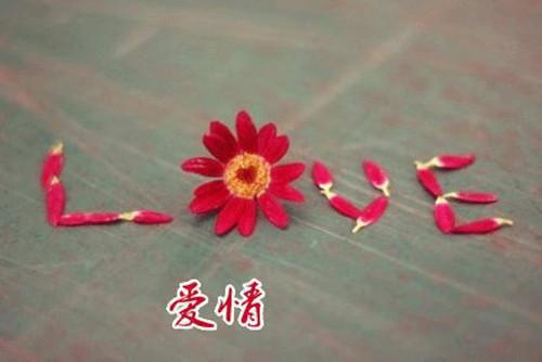 花昭重渊全文阅读最新 花昭重渊小说目录