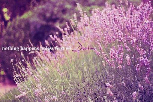 柳汐裴时枫小说目录 柳汐裴时枫完整免费版阅读