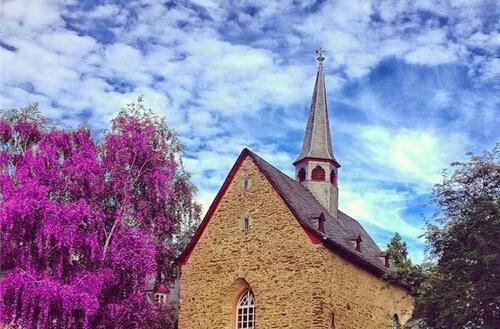 (抖音小说)刘大根小说全文阅读免费