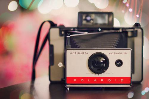 沈淼淼沈月月小说全免读 沈淼淼沈月月第3章在线阅读