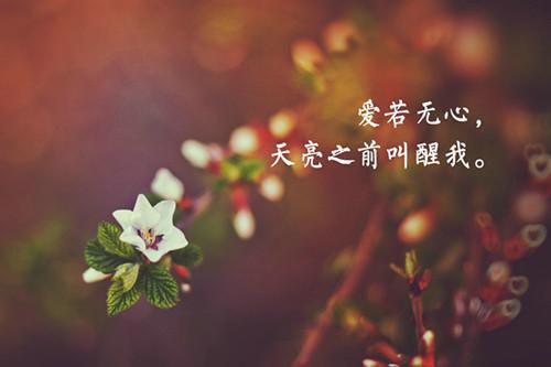 主角季星晚顾行舟林妙小说免费阅读最新章节