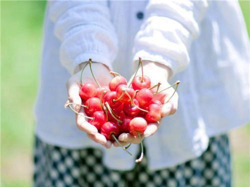 夏濛惜高淮峥免费全本小说 夏濛惜高淮峥章节目录
