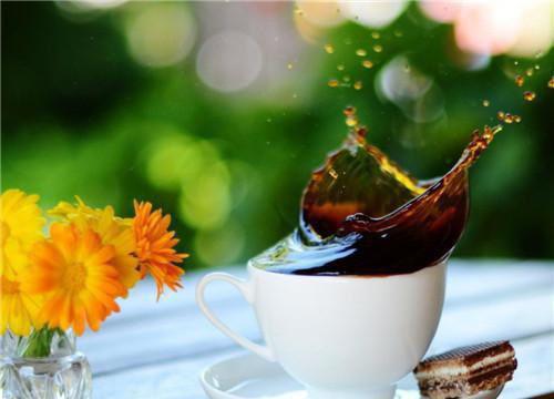 男女主角是谢安阿挽的小说 王氏阿挽之风起平原小说免费看