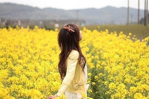 顾云柔顾星朗免费小说 顾云柔顾星朗完结版在线阅读