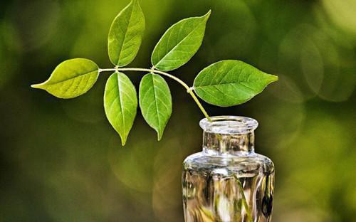 沈启之宋紫烟宋若宁免费全本小说 沈启之宋紫烟宋若宁章节目录