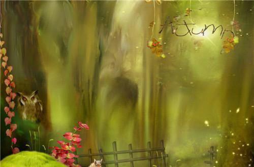 段云枝隋建华小说目录 段云枝隋建华完整免费版阅读