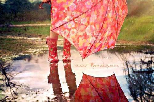 重生后女友选择了男神全文免费阅读 陆嵩赵枫温轻小说结局