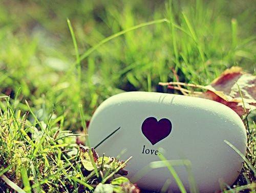 透视医王高甜小说最新章节-吴北全文阅读