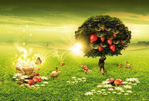 主角名是白慕雅林悠悠秦时泽全文免费阅读正版