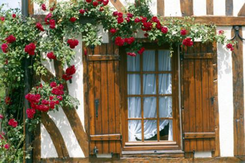 温湘宜钟文礼小说目录 温湘宜钟文礼完整免费版阅读