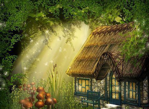 假象虚荣小说最新章节(在线阅读)