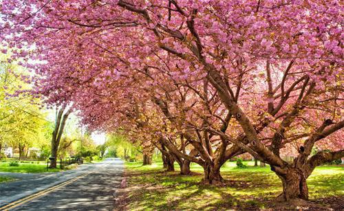贺明任雪肖若飞小说最新章节 贺明任雪肖若飞免费阅读