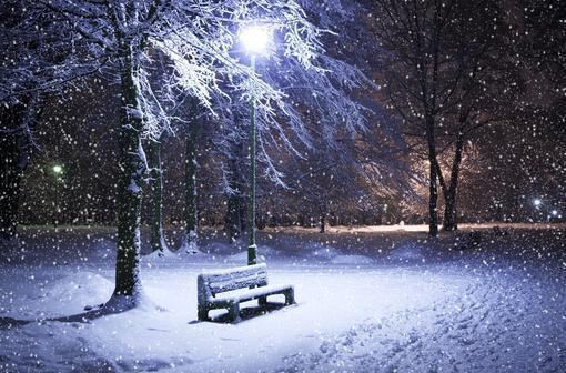 陆景延盛夏什么小说 陆景延盛夏全文免费阅读