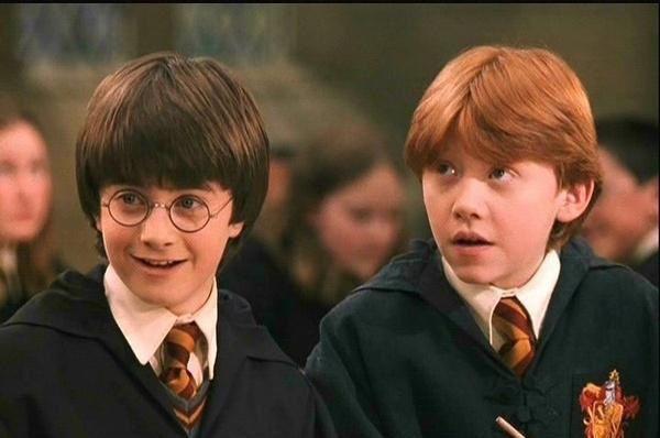 杨山免费全本小说 杨山章节目录