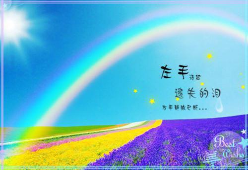 陆晏顾清顾柔是哪部小说的主角 陆晏顾清顾柔全文阅读