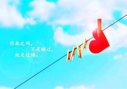 同事害死老板娘之后全文免费阅读 王梦陈然目录