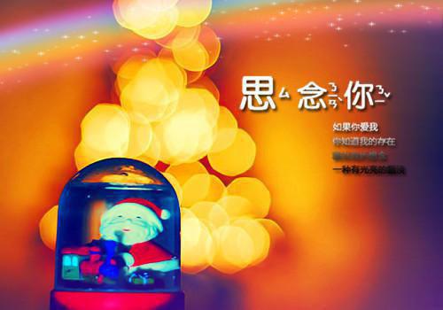 风雨易碎小说(顾璟顾时白)免费在线阅读