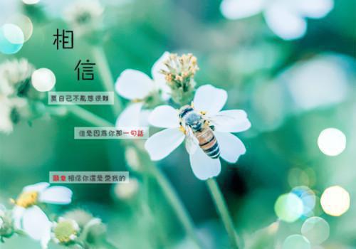 (抖音小说)陈盛之江婷嫣齐恪仁小说全文阅读免费