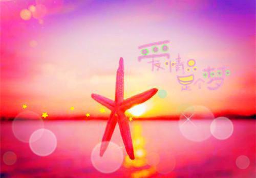 乔言心顾千澈（春迟冬来续顾千澈乔言心结局+番外）全文阅读无弹窗结局_(乔言心顾千澈春迟冬来续顾千澈乔言心结局+番外阅读全文结局)结局章节列表（乔言心顾千澈）