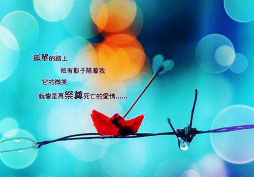 (最新)夏莱周叙晫小说完整版免费阅读