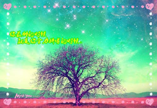 萧策陆则安主角的书 朕的探花郎又双叒叕带球跑了全文阅读免费