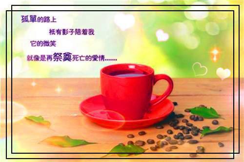 戚雅南余嘉树高人气小说-戚雅南余嘉树全文阅读下拉式