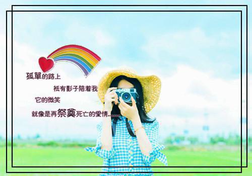 胡闹不死小说完整版 沈欺在线阅读