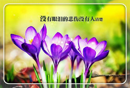 秦芫言商云白元瑶小说全文阅读 秦芫言商云白元瑶第二章