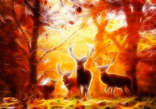 绝世医仙柳如烟罗天小说免费试读